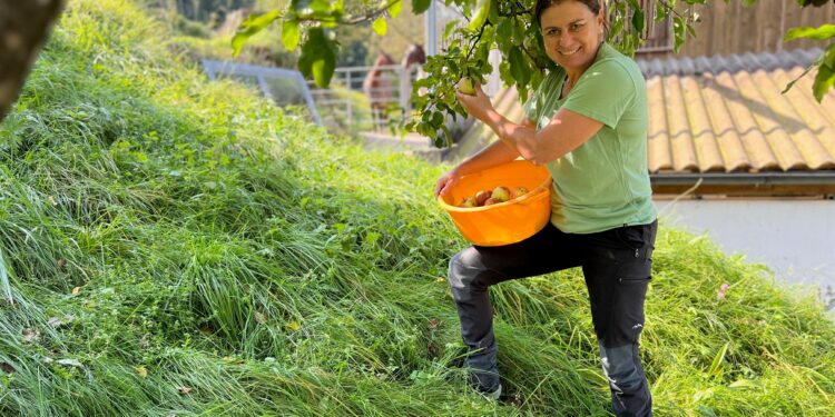 Selbstversorgungsoffensive bei Obst- und Gemüseanbau