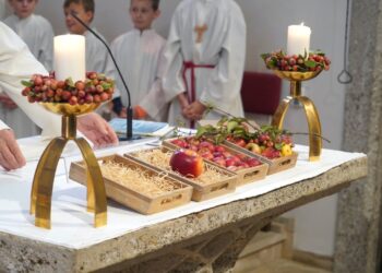 Ein herzliches DANKE für die gute Ernte – das Erntedankfest!