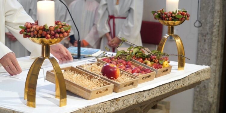 Ein herzliches DANKE für die gute Ernte – das Erntedankfest!