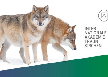 Prof. Kurt Kotrschal spricht über die Rolle des Wolfs in unserem Ökosystem