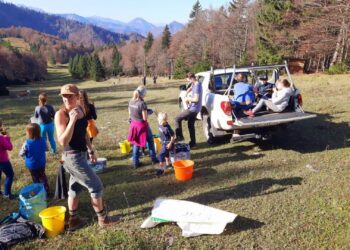 „Stoana klaub´n“ Gemeinsam für den Kasberg