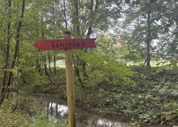 Erneuerung des Lehrpfads Puchheimer Au