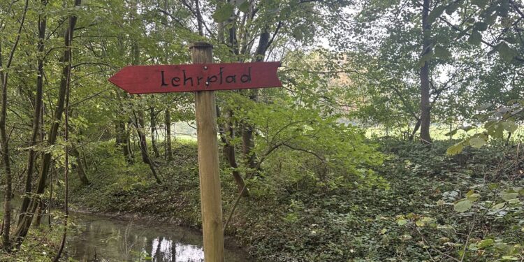 Erneuerung des Lehrpfads Puchheimer Au