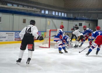 Alles NEU beim UEHV Cam4Dent Sharks!