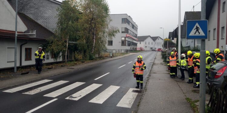 93 neue Verkehrsregler für die Feuerwehren ausgebildet