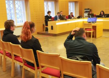 Drei Angeklagte wegen umgedichtetem Hit samt Wiederbetätigung in Wels vor Gericht