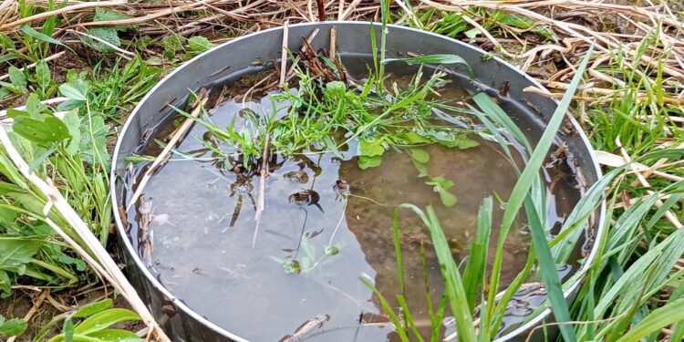 Veranstaltung: Schauplatz Boden – Entdecke die faszinierende Welt unter unseren Füßen!