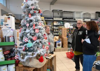 Weihnachten für Tiere – Zoo Schiemel in Pinsdorf sammelt für Wildtiere in Not