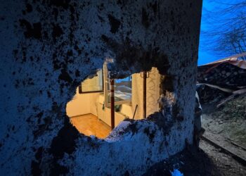 4,5 Tonnen schwerer Wurzelstock durchschlägt Hausmauer