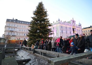 Christbaumtauchen – Vorweihnachtliches Highlight am Rathausplatz
