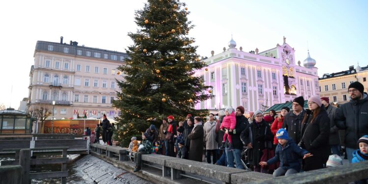 Christbaumtauchen – Vorweihnachtliches Highlight am Rathausplatz