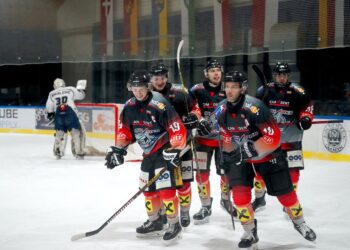 8:2 Erfolg des UEHV CAM4DENT Sharks1 gegen HDK MARIBOR/Slowenien!