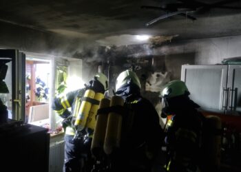 Held auf Samtpfoten: Katze rettet Bewohner vor Wohnhausbrand