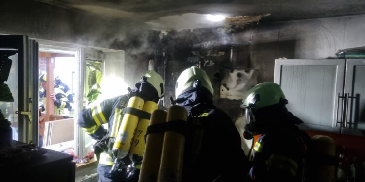 Held auf Samtpfoten: Katze rettet Bewohner vor Wohnhausbrand