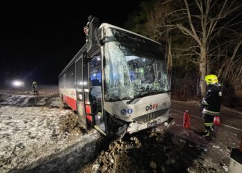 Linienbus kam von Straße ab