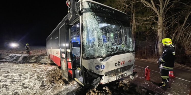 Linienbus kam von Straße ab