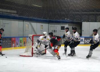 Zwei Spiele, zwei Siege, 13:2 Torerfolg, ein super Abschluss der Sharks in der Vorrunde der ÖEL! 