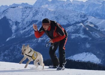 Winterübung 2025 – Planmäßige Lawinenverschüttetenrettung