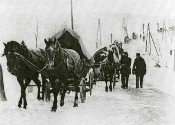 Lange aus, doch nie vergessen – 250 Jahre Bukowina