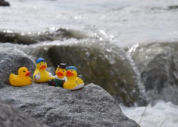 2. Ischler Enten Grand Prix am 29. Juni 2025