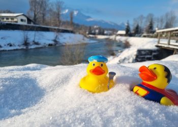 Die Enten trainieren schon