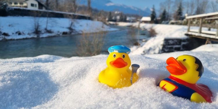 Die Enten trainieren schon