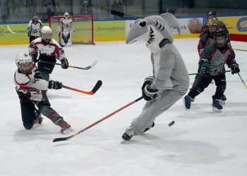Wie die Alten sangen, so zwitschern auch die Jungen Sharks und „bissen“ auch kräftig zu!