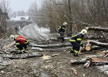 Esche entwurzelt – Straße blockiert