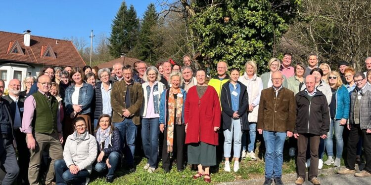 Strukturreform in der katholischen Kirche