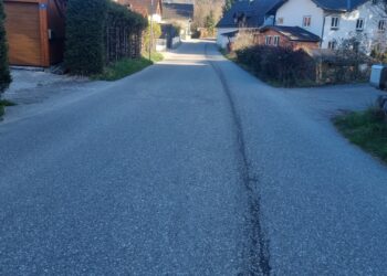 Ölspur beschäftigt drei Ischler Einheiten