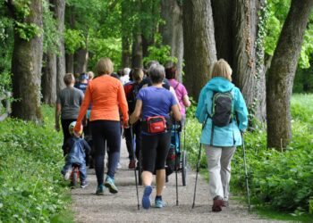 Nordic Walking und Partnerlauf der Gesunden Gemeinde Attnang-Puchheim am 26. April 2025