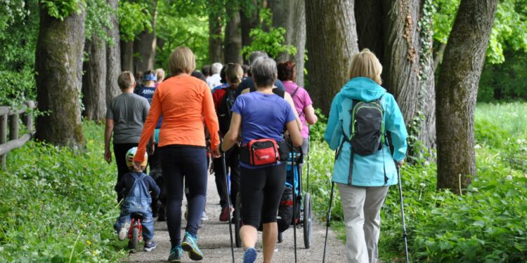 Nordic Walking und Partnerlauf der Gesunden Gemeinde Attnang-Puchheim am 26. April 2025