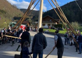 Pernecker Maibaumaufstellen