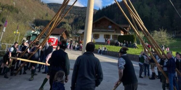 Pernecker Maibaumaufstellen