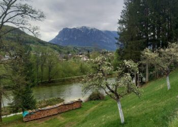 Pensionisten wanderten am Soleweg