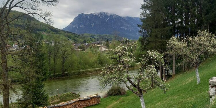Pensionisten wanderten am Soleweg