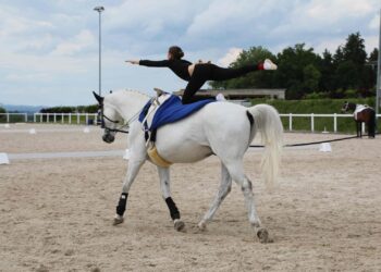 Gschwandtner Voltigiererinnen dominieren oberösterreichweiten Vergleich