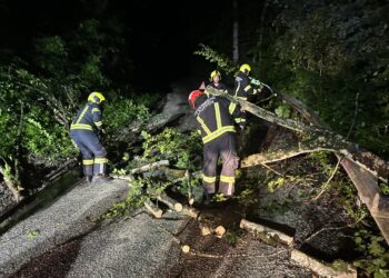Baum über Straße in der Engleitenstraße
