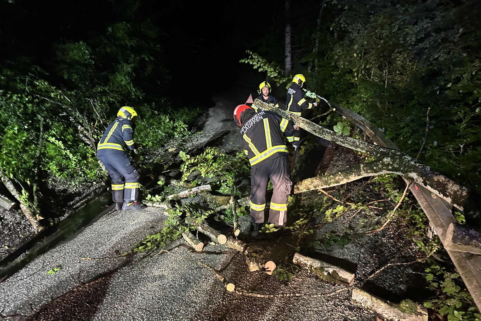 Baum-ber-Stra-e-in-der-Engleitenstra-e
