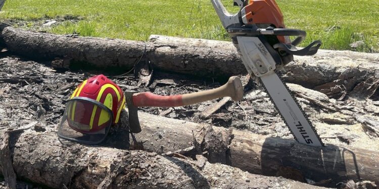 Maiwipferlfest mit Tag der offenen Tür an der Forstfachschule in Traunkirchen