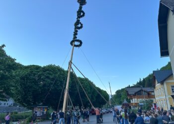 Maibaumaufstellen 2025 – gelebte Tradition in Lauffen