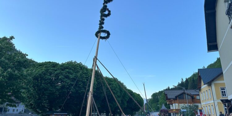 Maibaumaufstellen 2025 – gelebte Tradition in Lauffen