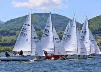 Shark24-WM: Ein voller Erfolg für Österreich