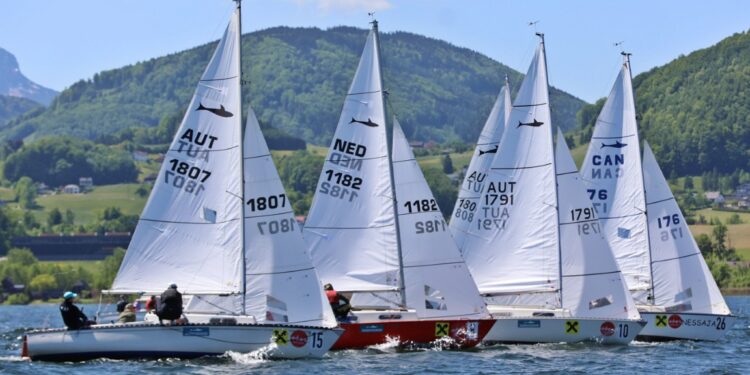 Shark24-WM: Ein voller Erfolg für Österreich