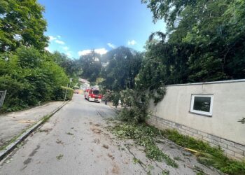 Zwei Einsätze für die Feuerwehr Gmunden: Baum blockierte Traunsteinstraße und Containerbrand