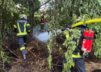 Kompostbrand in Altmünster schnell unter Kontrolle gebracht