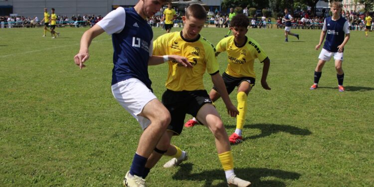 HAK Bad Ischl erreicht starkes Landesfinale