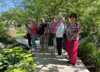 INNsGRÜN – eine Landesgartenschau begeistert