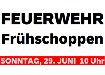 Sommerfest der FF Schörfling am Attersee