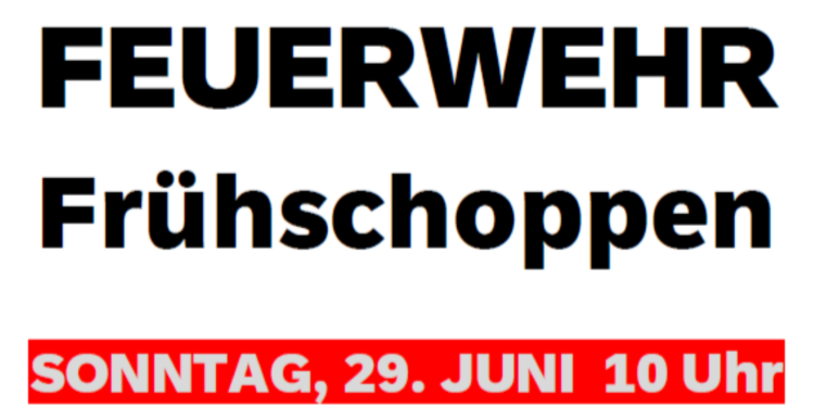 Sommerfest der FF Schörfling am Attersee